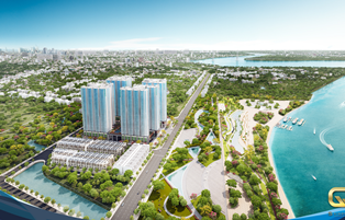 Căn Hộ Cao Cấp Giá Rẻ Q7 Saigon Riverside Complex 3